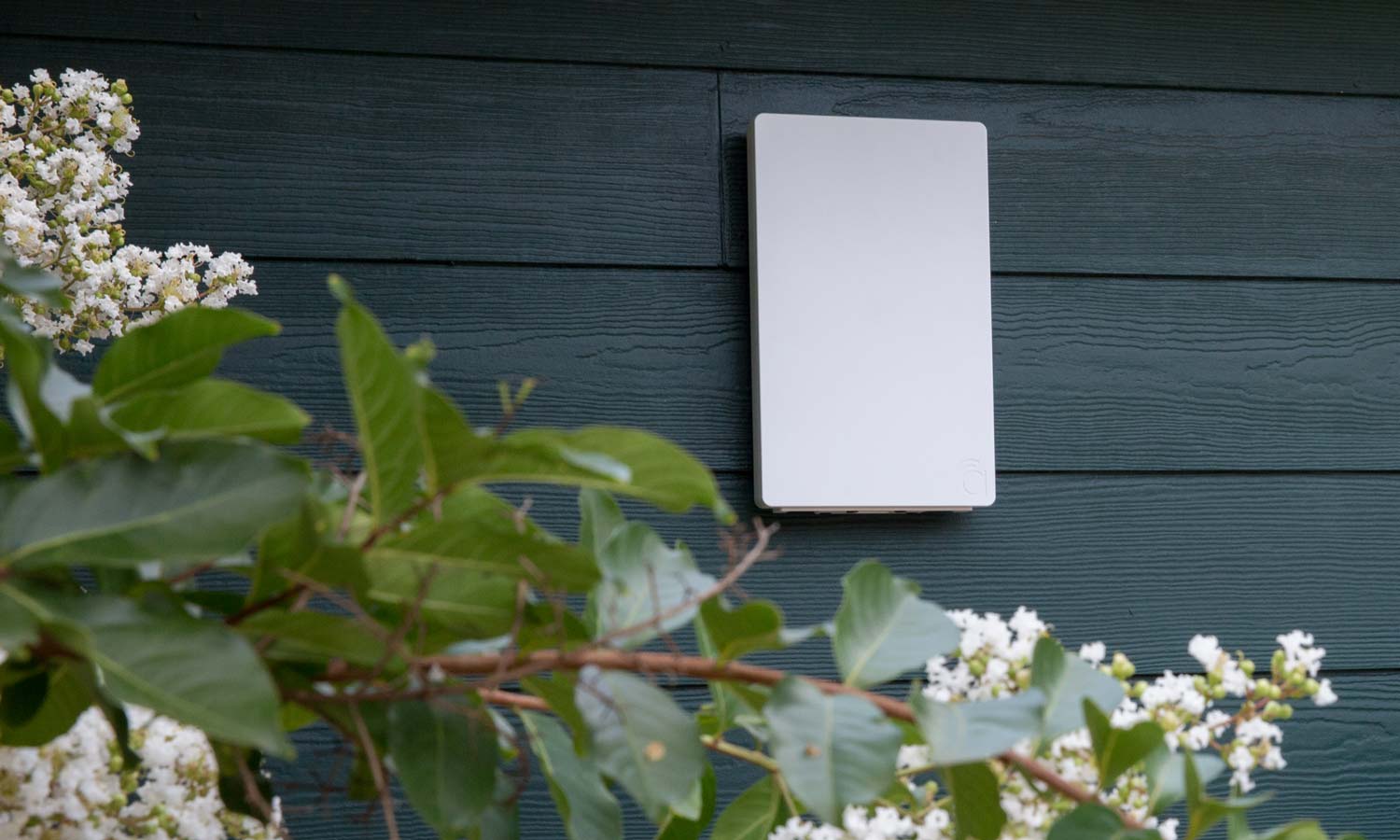 White rectangular outdoor antenna or smart device mounted on dark green siding, surrounded by flowering plants.