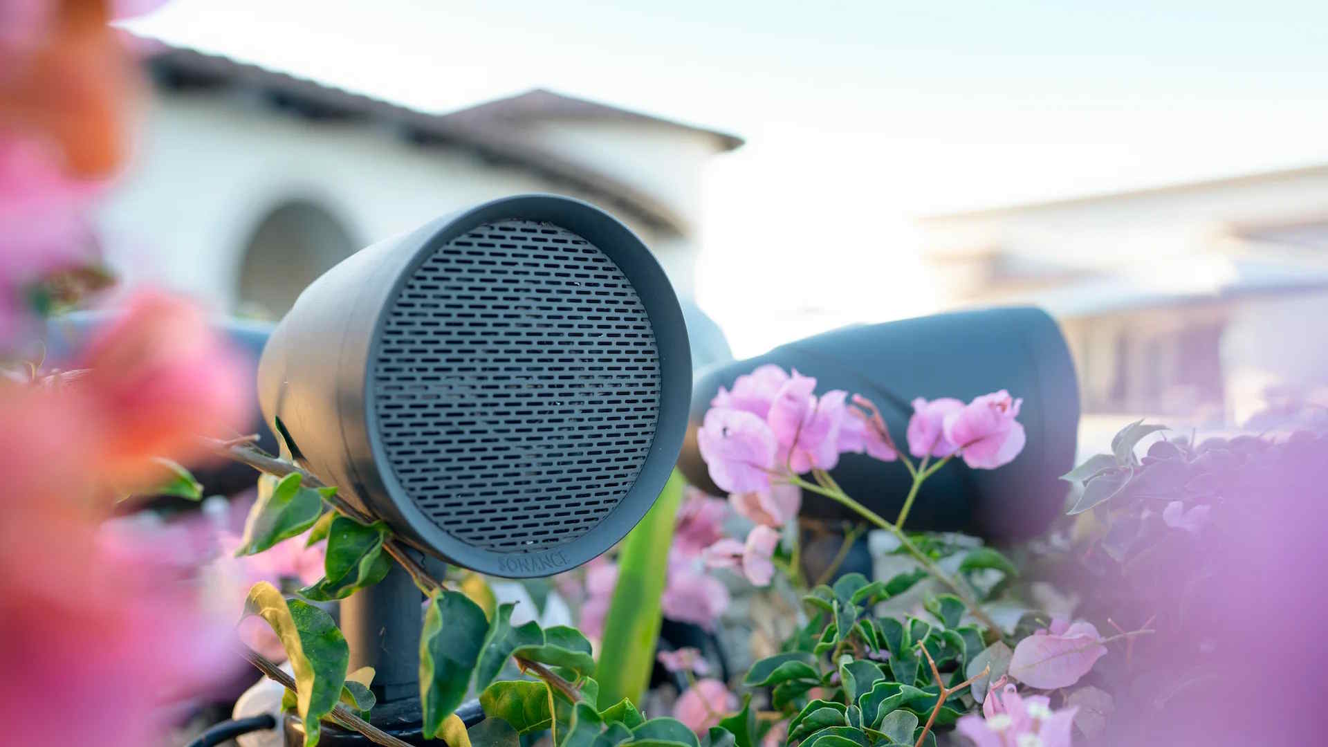 Close-up of outdoor speakers hidden among pink flowers and greenery near a house.